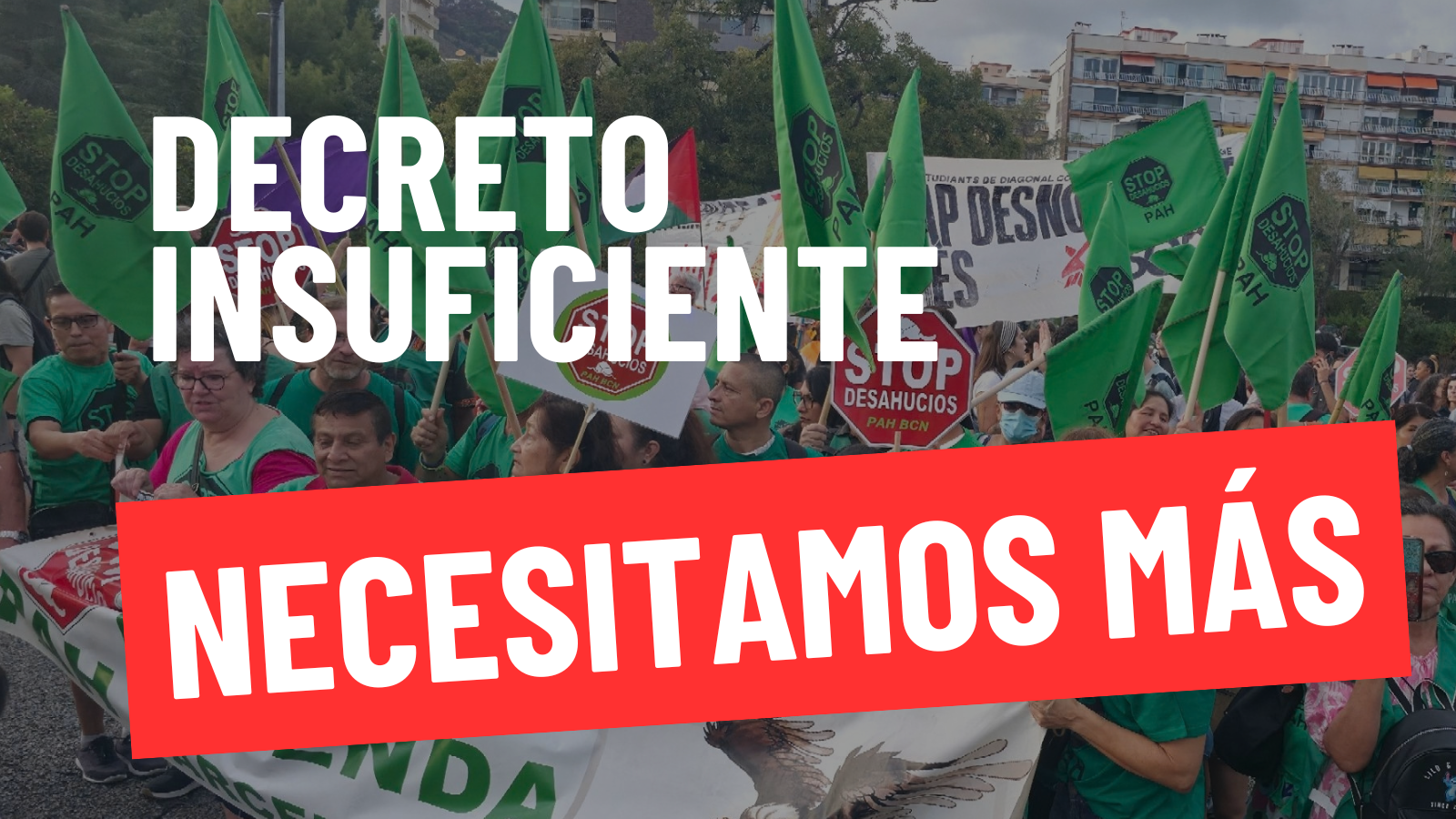 Decreto maricarmen